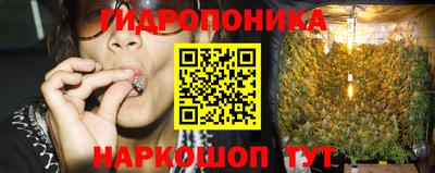 ECSTASY Обь