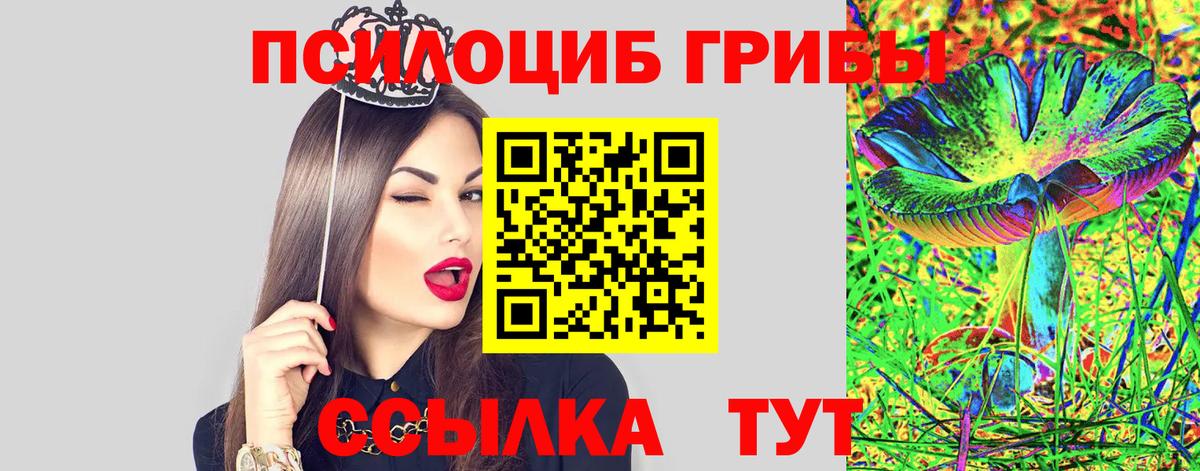 Псилоцибиновые грибы MAGIC MUSHROOMS Саранск
